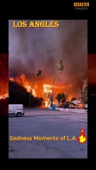 Sadness Moments of L.A