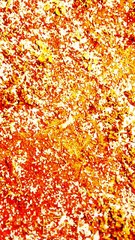 wir, mit dieser Aussicht auf schnell verwischte Spuren