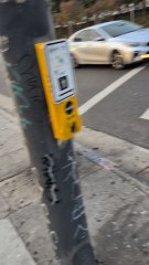 campbell pedestrial crosswalk with australia Sounder