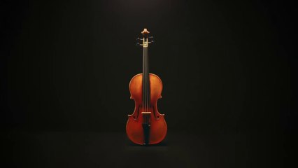 Lo straordinario Joachim-Ma Stradivarius all'asta a New York: la sua storia