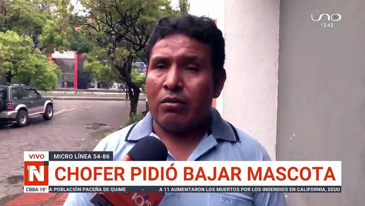 CHOFER DECLARACIÓN