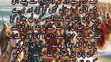 Is Shehar Ko Zameen V Asman Ki Takhlik K Ruz Hi | Mere Liye B Din K Kuch Waqat K Liye Halal keya |