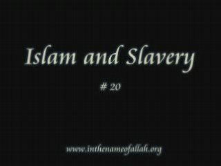 20 Idiots Guide to Islam- Islam and Slavery - Part 20
