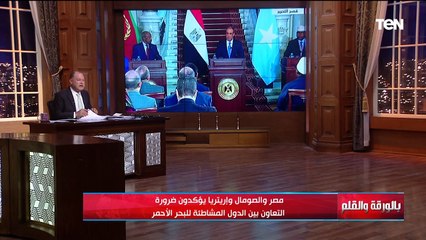 الديهي: مصر والصومال واريتريا مشغولين بالأمن بالقرن الإفريقي وحرية الملاحة جنوب البحر الأحمر