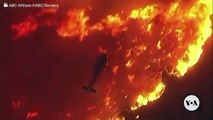 Palisades fire burns in Los Angeles