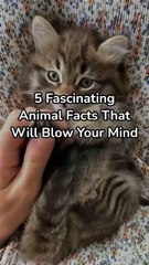5 Fascinating Animal Facts That Will Blow Your Mind!