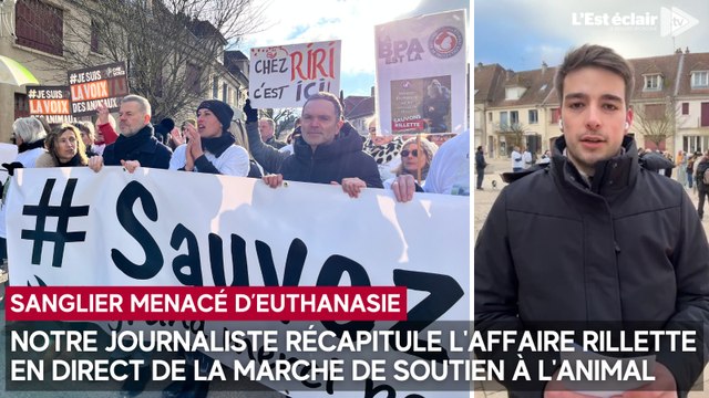 Notre journaliste récapitule l'affaire du sanglier Rillette en direct de la marche de soutien à l'animal