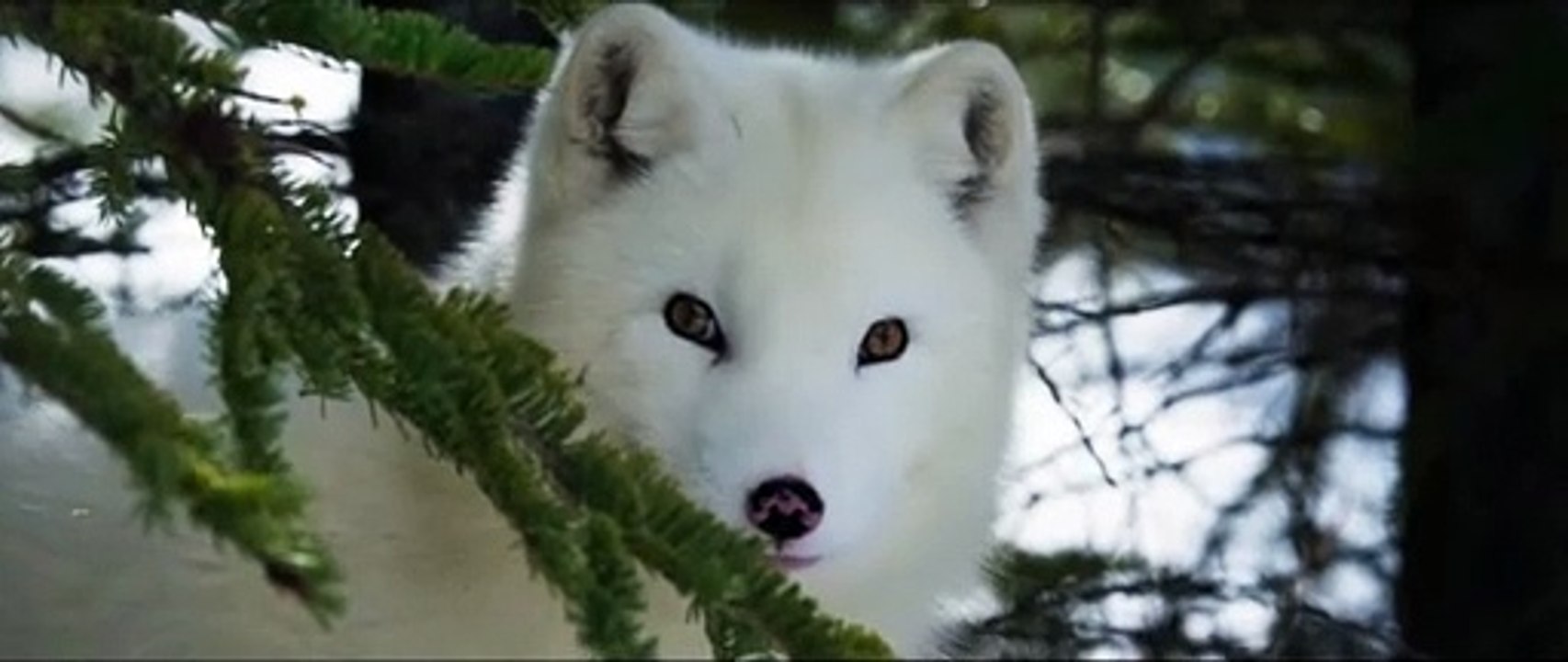 Die Abenteuer von Kina & Yuk | movie | 2023 | Official Trailer