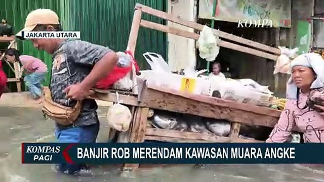 Ratusan Rumah Warga Muara Angke Terendam Banjir Rob, Ketinggian Air Capai 60 cm