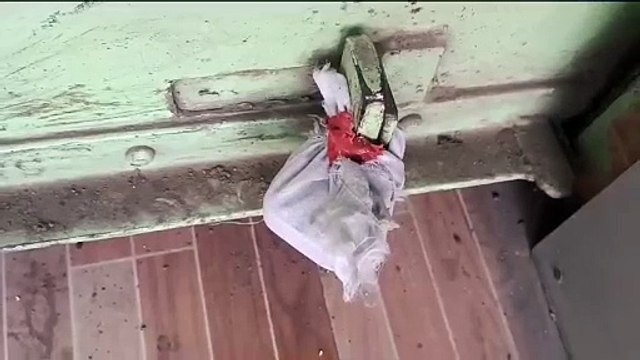 नालंदा में बर्थ डे पार्टी के दौरान एक होटल में वार्ड पार्षद प्रतिनिधि नर्तकियों के ठुमके पर छलका रहे थे जाम, तभी पहुंची पुलिस 41 गिरफ्तार, होटल सील. समान ज़ब्त