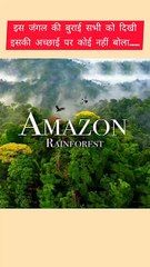 Discover Why the Amazon Rainforest Is Vital for Our Planet 🌍