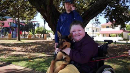 Charity trains working dogs to support country kids at Perth Children's Hospital