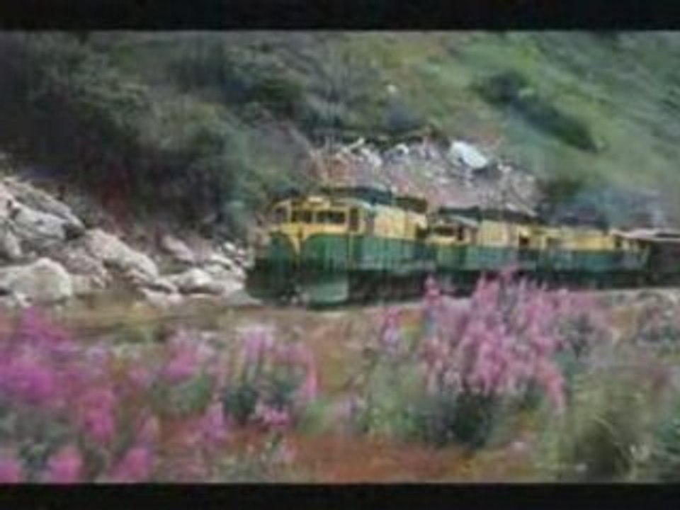 (Cruise to Cassh) unlimited travel vouchers