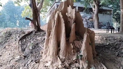 डाकू रत्नाकर कैसे बन गए महर्षि वाल्मीकि, VTR में दिमकों के टीला से जुड़ी है कहानी।