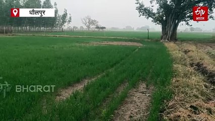 कोहरे के आगोश में लिपटा शहर, बारिश के बाद पारे में गिरावट