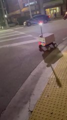 Car Collides with Delivery Robot While It Crosses the Street