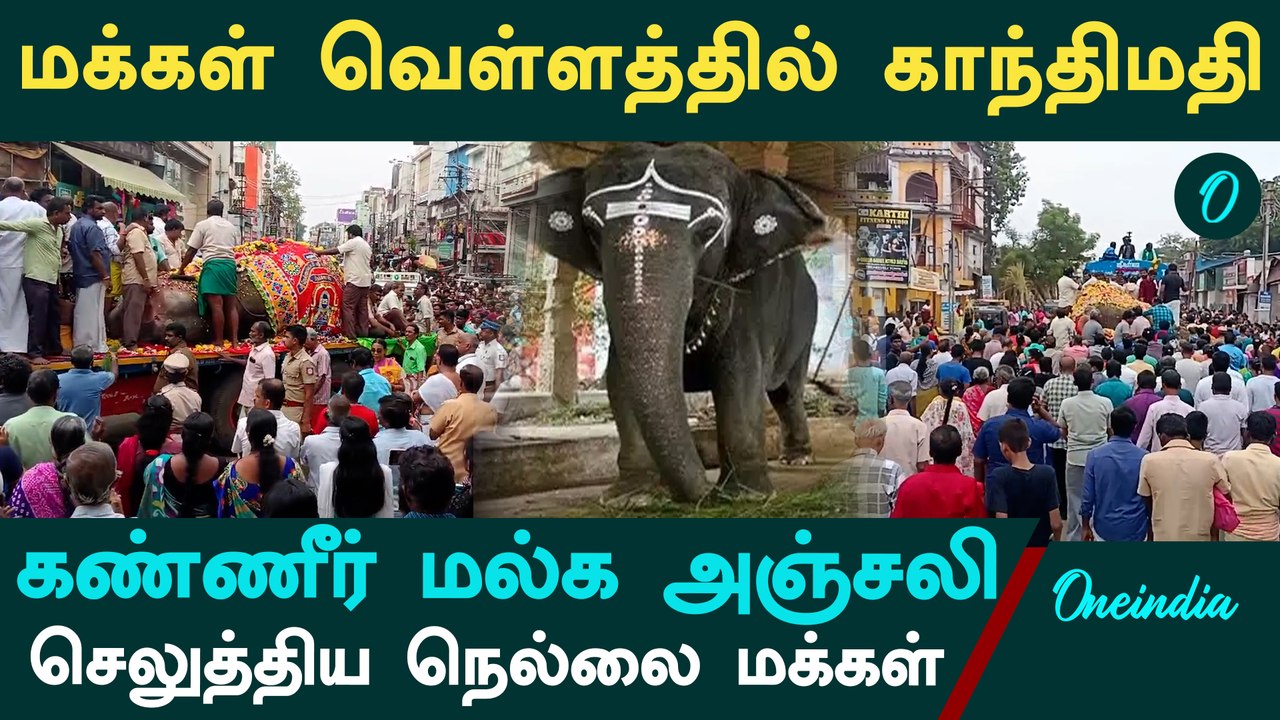 Nellai Gandhimathi Elephant Death| நெல்லையப்பர் கோவில் யானை காந்திமதிக்கும் மக்கள் வழி நெடுக அஞ்சலி