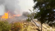 Yangınlarla boğuşulan Los Angeles'ta gece rüzgarın tekrar güçlenmesinden endişe ediliyor