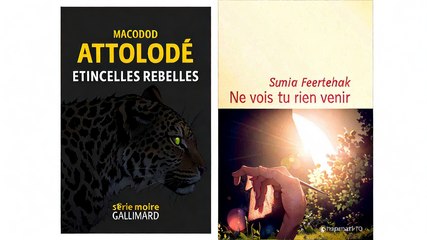 Les nouveautés de la sélection pour le Prix franceinfo 2025 de BD d'actualité