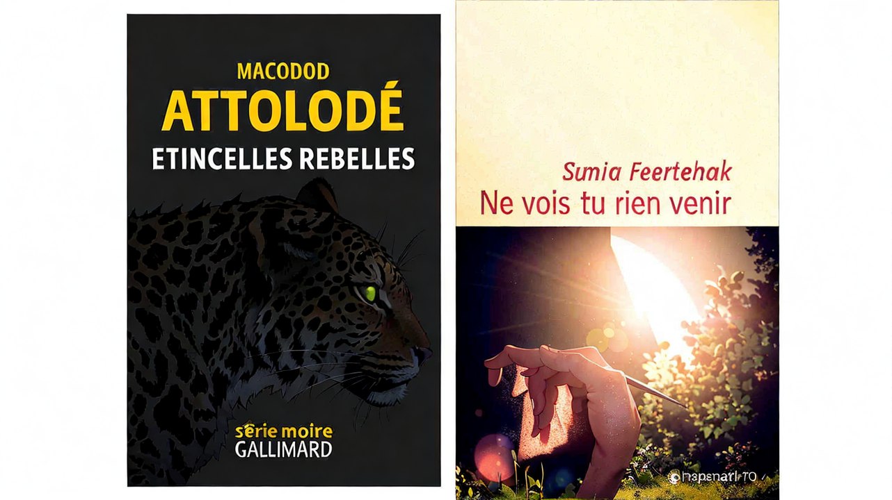 Les nouveautés de la sélection pour le Prix franceinfo 2025 de BD d'actualité