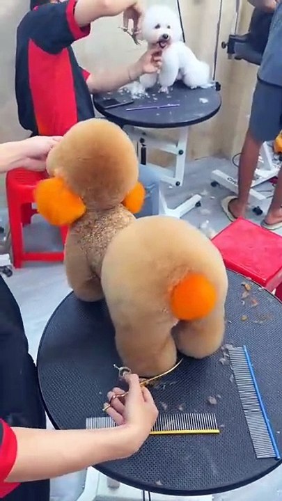 Weil dein Hintern wunderschön ist...