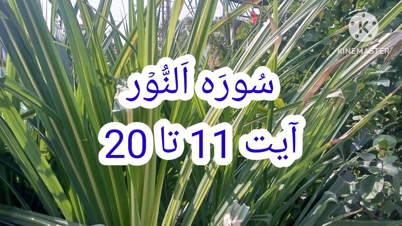 Surah An Noor || Tilawat an nur || quran pak ki tilawat || quran recitation ||