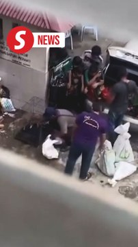 Men in viral video of cats being stuffed in sacks deny claims of animal abuse