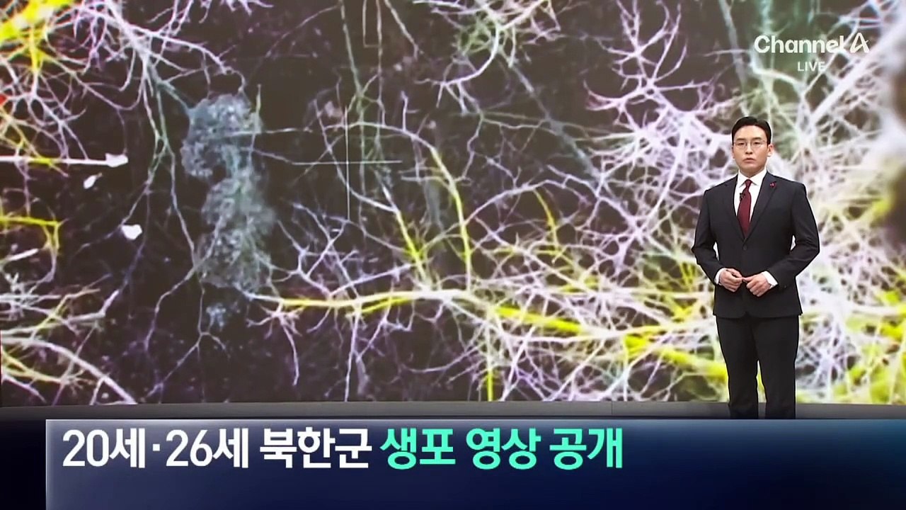 우크라, 20세·26세 북한군 생포 작전 영상 공개
