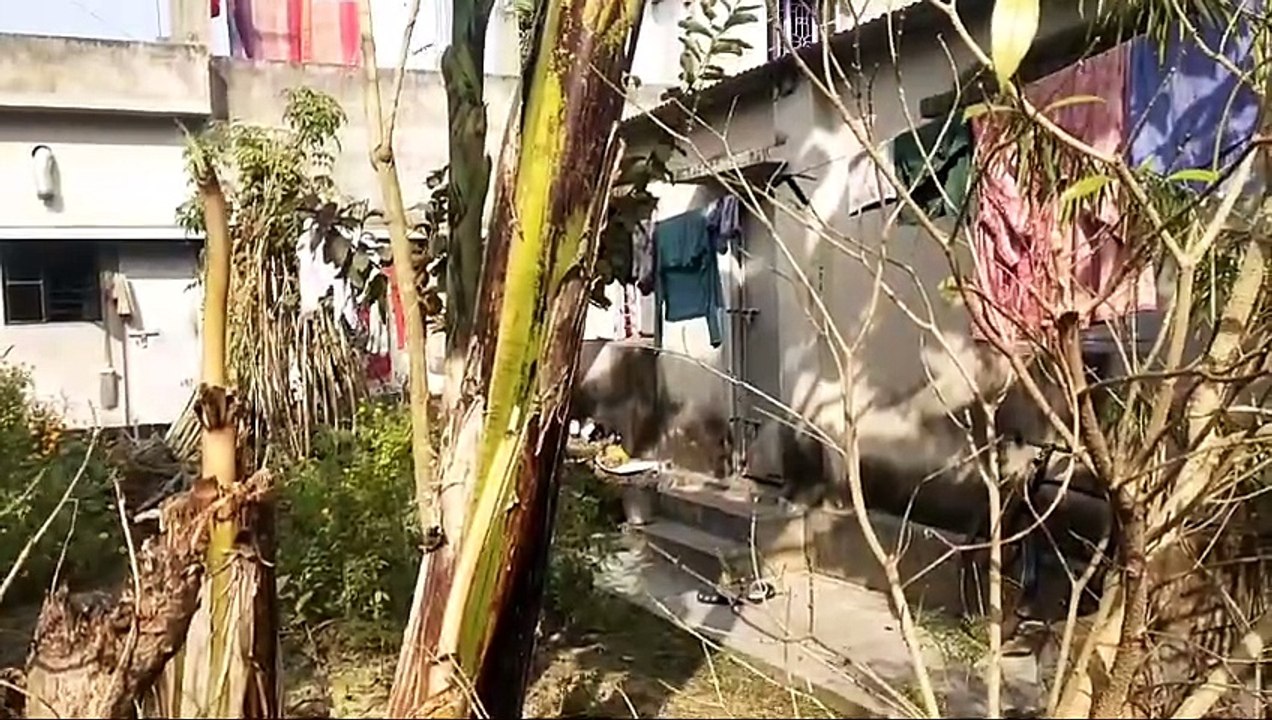 পুকুর থেকে গুগলি তোলাকে কেন্দ্র করে বচসা দুই প্রতিবেশীর মধ্যে।সেই অশান্তির জেরে চলল গুলি,আহত দুই।