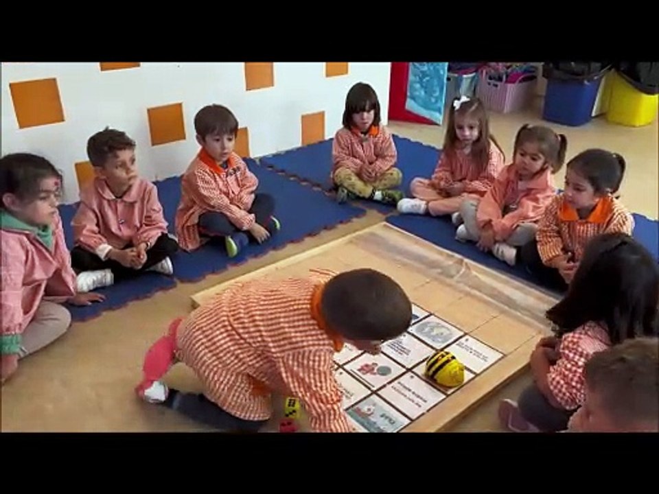 BEE BOT Y  COLÓN