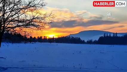 Ardahan'da Soğuk Hava Buzlanmaya Neden Oldu