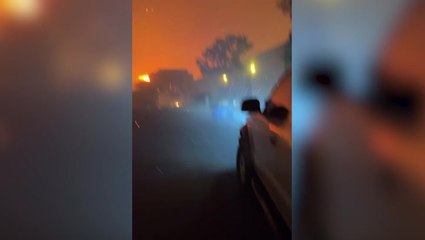 Watch: Wildfire hero rescues woman and four dogs from burning LA home