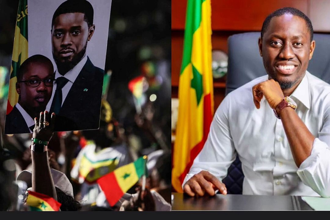 Pape Malick Ndour : "Le parti Pastef n'a pas eu le temps de former ses militants, qui n'ont absolument rien compris."
