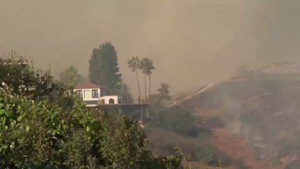 뉴섬 주지사, 트럼프에 "화재 현장 직접 와서 보라" / YTN