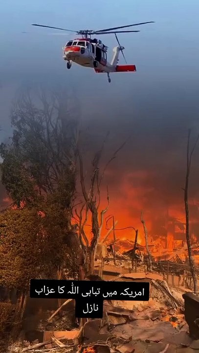 Fire In America #california #hollywood #losangeles #shorts #ytshort #youtubeshorts #short #trending