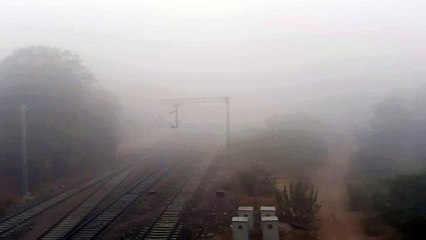 जोधपुर में बीती रात को गिरी ओस, सुबह घना कोहरा