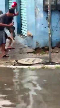 Populares ‘se divertem’ com infestação de ratos em Itinga