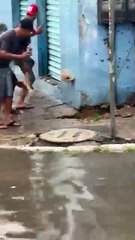 Populares ‘se divertem’ com infestação de ratos em Itinga
