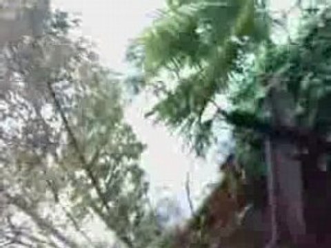 Indiana Jones et le Temple du Péril : disney land paris