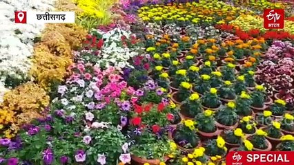 रायपुर में आया फूलों वाला बारहसिंघा, नहीं देखा तो चूक जाएंगे आप, एक क्लिक तो बनता है