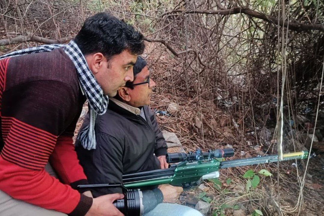 जयपुर में नहर के गणेश मंदिर के पास लेपर्ड की दस्तक, वन विभाग की टीम ने ट्रैंकुलाइज कर किया रेस्क्यू