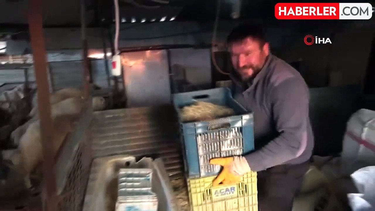 Tavuğunu tilki kapan 'Zavadanak' Bekir'den gülümseten sitem: Hasım olmayalım