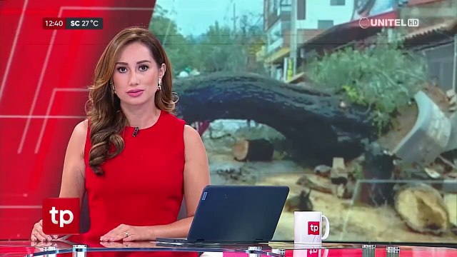 Este domingo, al menos 10 árboles cayeron en Cochabamba producto de las lluvias