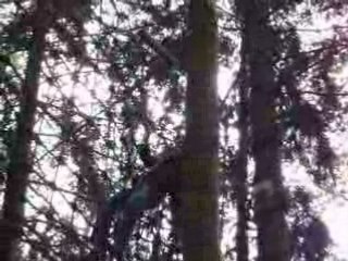 03 - Moi me prend un filet avec une corde