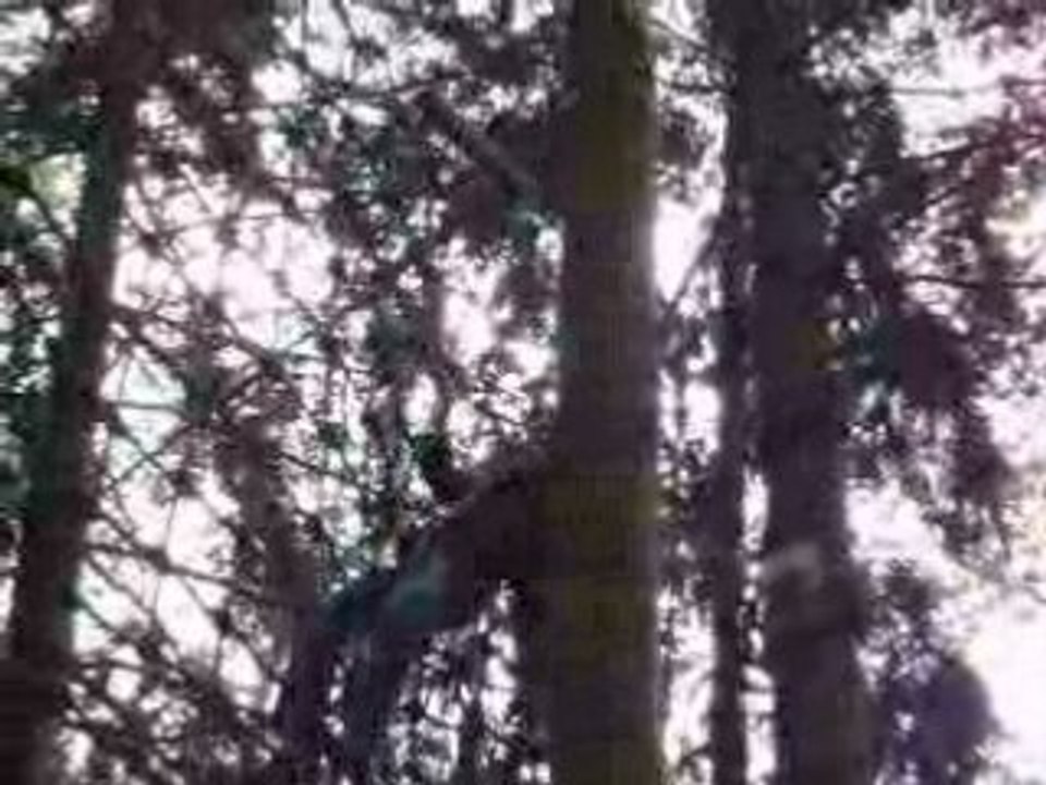 03 - Moi me prend un filet avec une corde