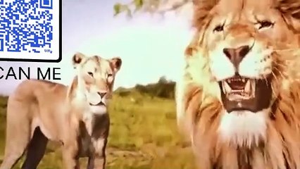 Mufasa: The Lion King (2024) Movie Recap-Criticism and analysis