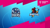 Highlights von Straubing Tigers - Iserlohn Roosters