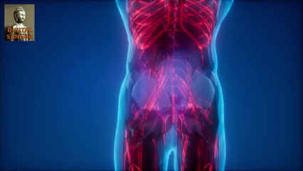 Sport - aus buddhistischer Sicht