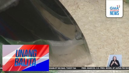 P58/kg, itatakdang maximum suggested retail price ng imported rice simula January 20 | Unang Balita