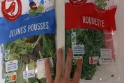 Comparatives des Salades AUCHAN